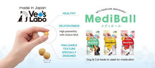 Load image into Gallery viewer, VET&#39;S LABO 16721 Japanese Medi Ball for Dog Beef Flavor Treat 15pcs 20g