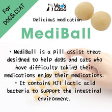 Load image into Gallery viewer, VET&#39;S LABO 16939 Japanese Medi Ball for Dog Liver Flavor Treats 15pcs 20g