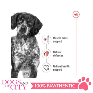 Royal Canin Medium Adult 4kg - Dogs And The City Online
