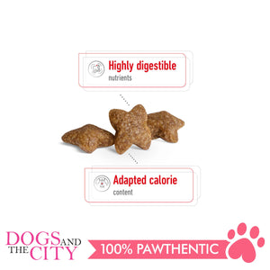 Royal Canin Mini Adult 2kg - Dogs And The City Online