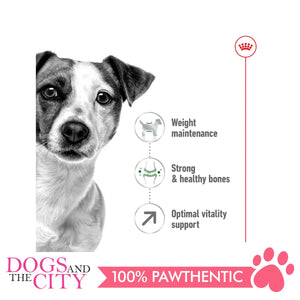 Royal Canin Mini Mature ADULT 8+ 2KG - Dogs And The City Online