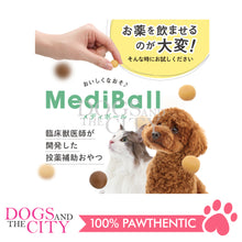 Load image into Gallery viewer, VET&#39;S LABO 16721 Japanese Medi Ball for Dog Beef Flavor Treat 15pcs 20g