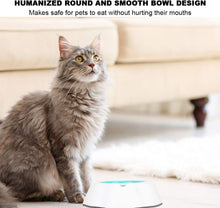 Load image into Gallery viewer, SLP Frosty Water Food Chilling Cooling Pet Bowl for Dog and Cat 16 oz 23x23x6cm