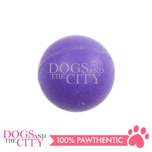 Load image into Gallery viewer, PAWISE  14718 Solid Dental Pet Ball Toy 2.5&quot; for Dogs