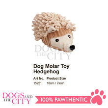 Load image into Gallery viewer, Pawise 15251 Dog Molar Pet Toys- Hedgehog